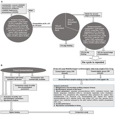 Combination of Antimicrobial Starters for Feed Fermentation: Influence on Piglet Feces Microbiota and Health and Growth Performance, Including Mycotoxin Biotransformation in vivo